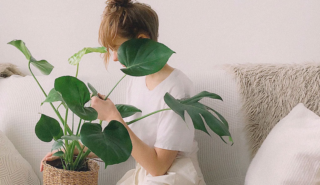 Why You Need Plants In Your Life