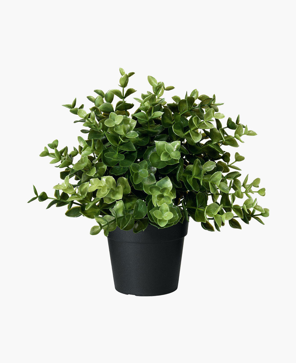 Evi Plant Pot